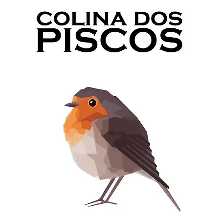 Colina Dos Piscos