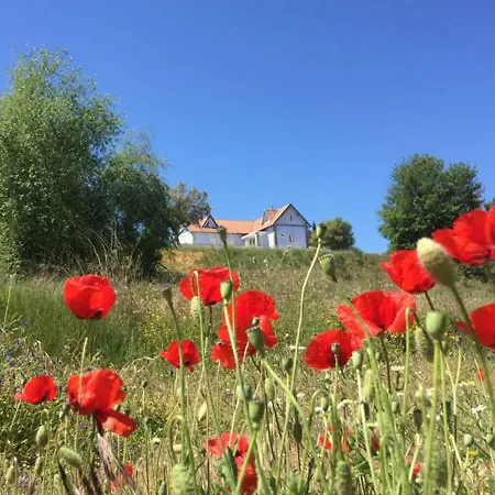 Gæstehus Colina Dos Piscos Casais da Abadia