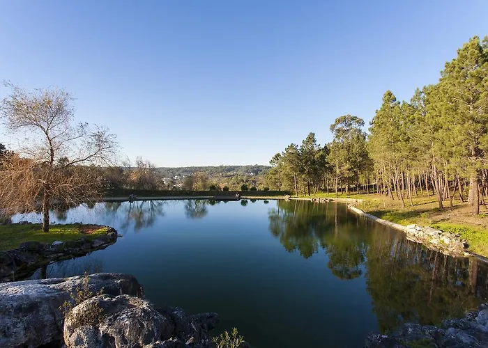 Affittacamere Colina Dos Piscos