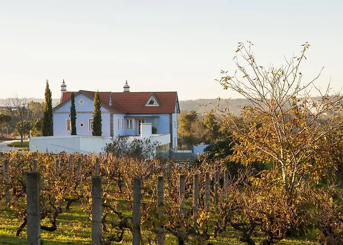 Colina Dos Piscos בית הארחה Casais da Abadia