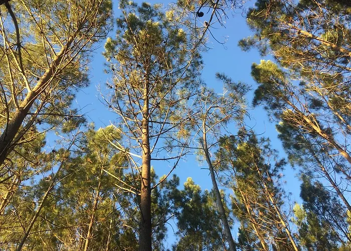Colina Dos Piscos Casa de hóspedes