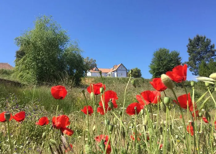 Affittacamere Colina Dos Piscos Casais da Abadia
